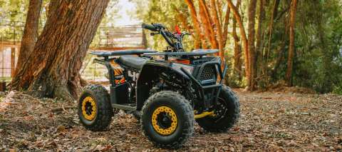 Fun Motors Flash 49cc